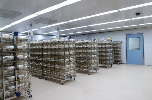 食用菌工廠規(guī)劃和布局