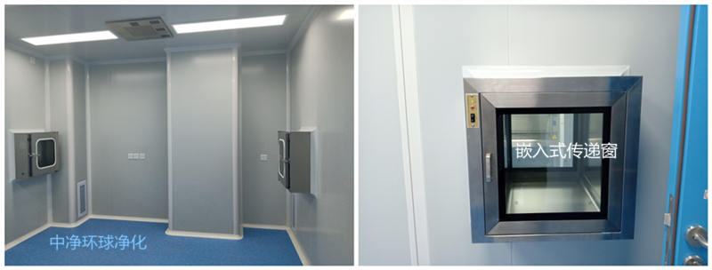 凈化工程管線組織、管線敷設(shè)