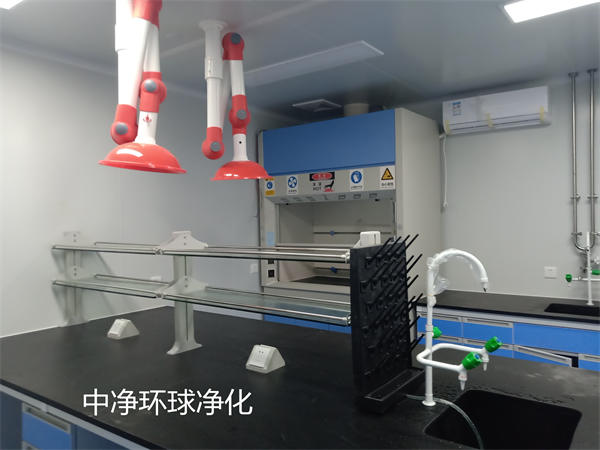 動物實驗室 動物實驗室