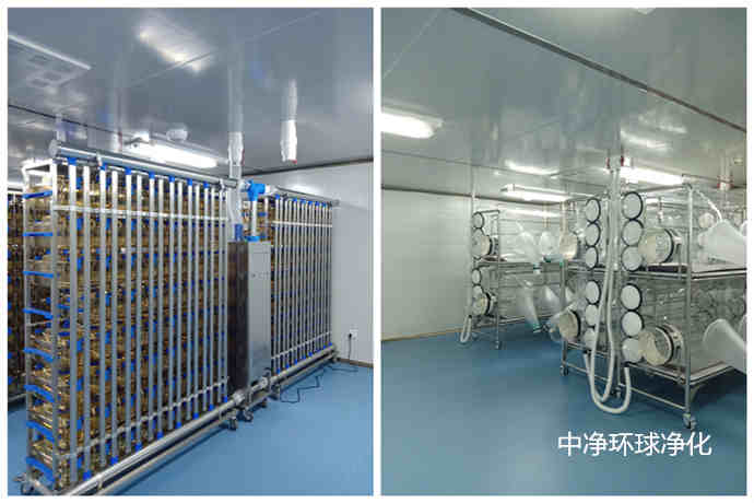 動物實驗室 動物實驗室